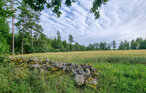 Ferienhaeuser - Tingsryd , Schweden - S25537 11