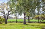 Ferienhaus - Kalmar , Schweden - S35511 7