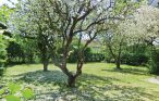 Feriehuse - Mörbylånga , Sverige - S41317 6