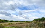 Feriehus - Tofta , Sverige - S42658 11