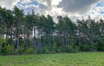 Feriehus - Tofta , Sverige - S42658 10