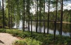Feriehus - Svanskog , Sverige - S45406 14