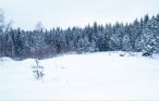 Semesterhus - Lesjöfors , Sverige - S45469 22