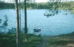Ferienhaus - Kringelfjorden , Schweden - S46080 22