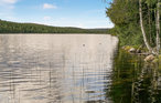 Semesterhus - Långtjärn , Sverige - S73272 13