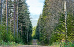 Semesterhus - Nyskoga/Torsby , Sverige - S73384 43