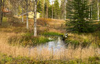 Semesterhus - Nyskoga/Torsby , Sverige - S73384 15