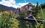 Savinjska-Ljubno ob Savinji