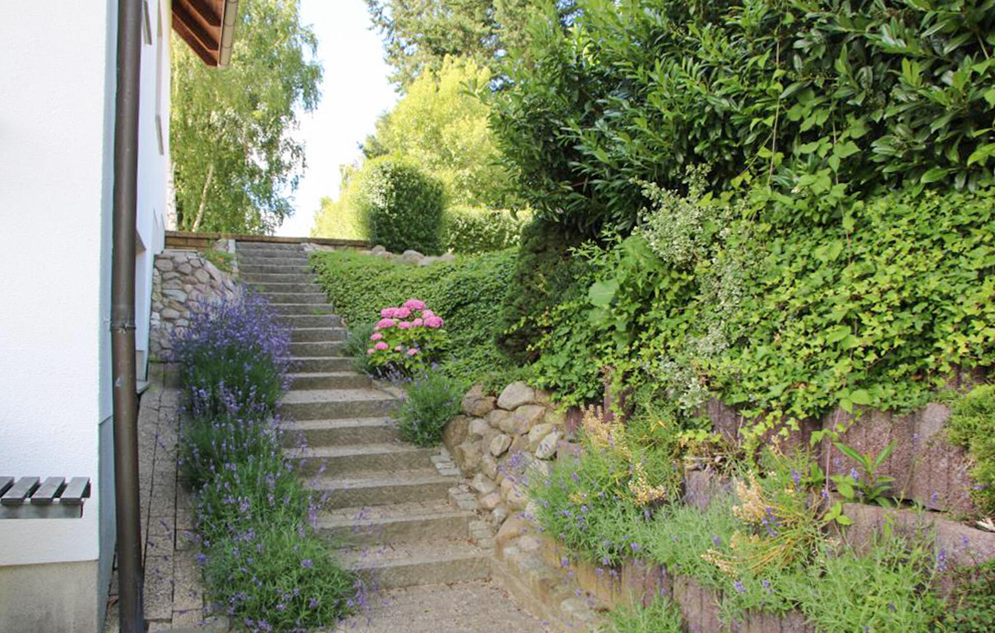 Ferienhaus in Röbel / Müritz (Deutschland) und 3 Hunde erlaubt