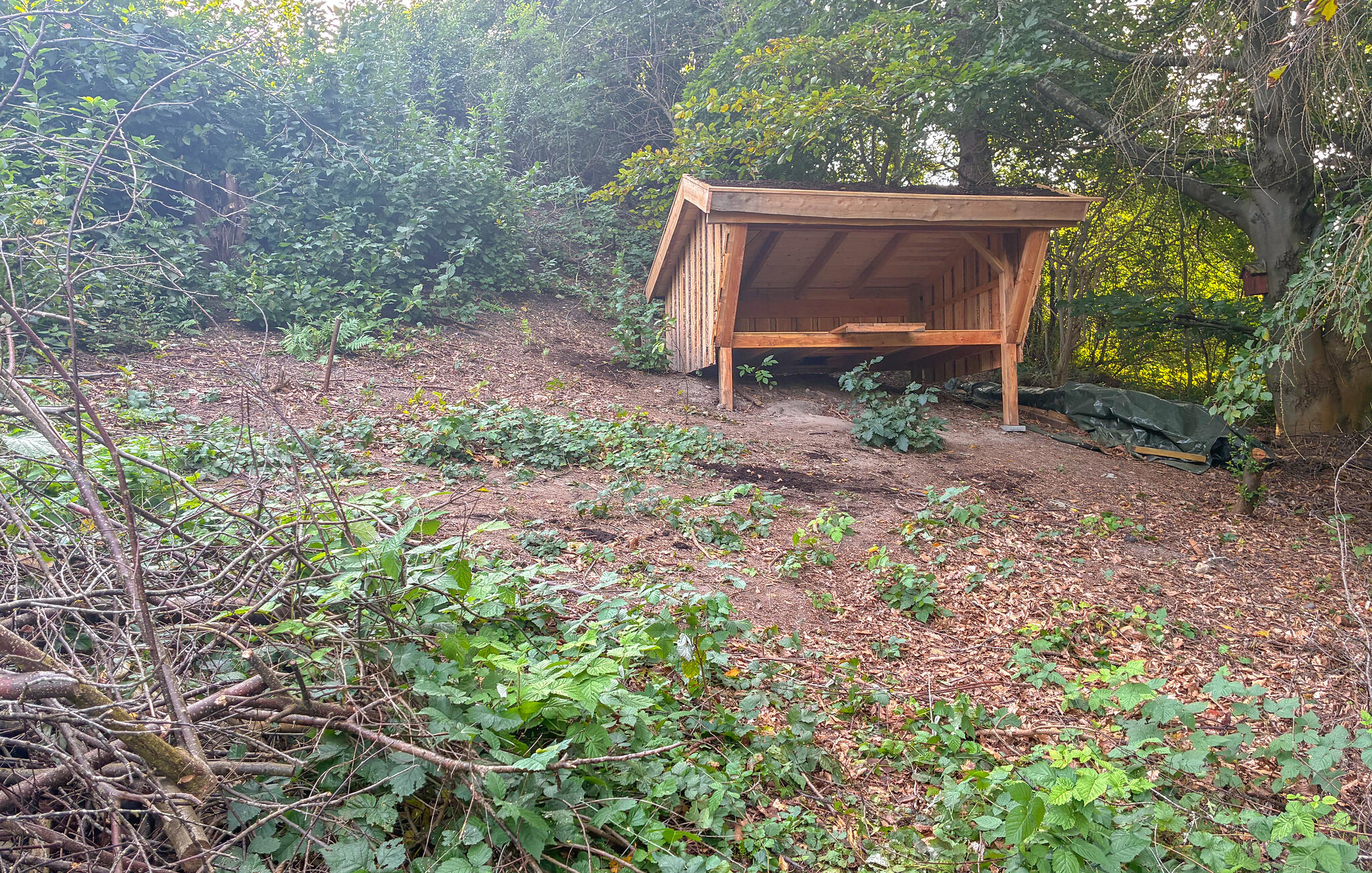 Accommodation image