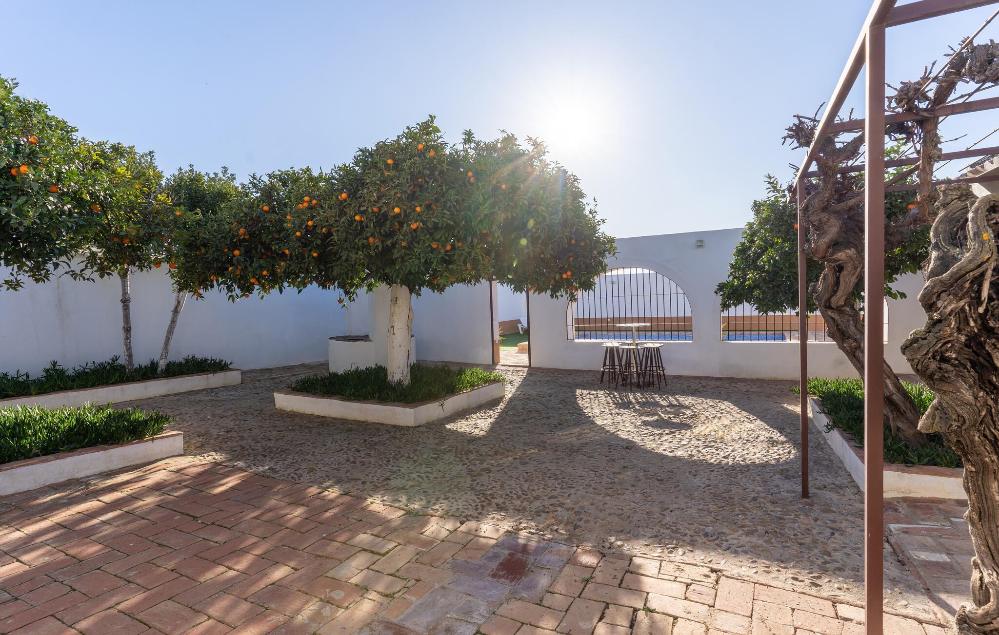 Ferienhaus in Fuente Palmera (Spanien) und 2 Hunde erlaubt