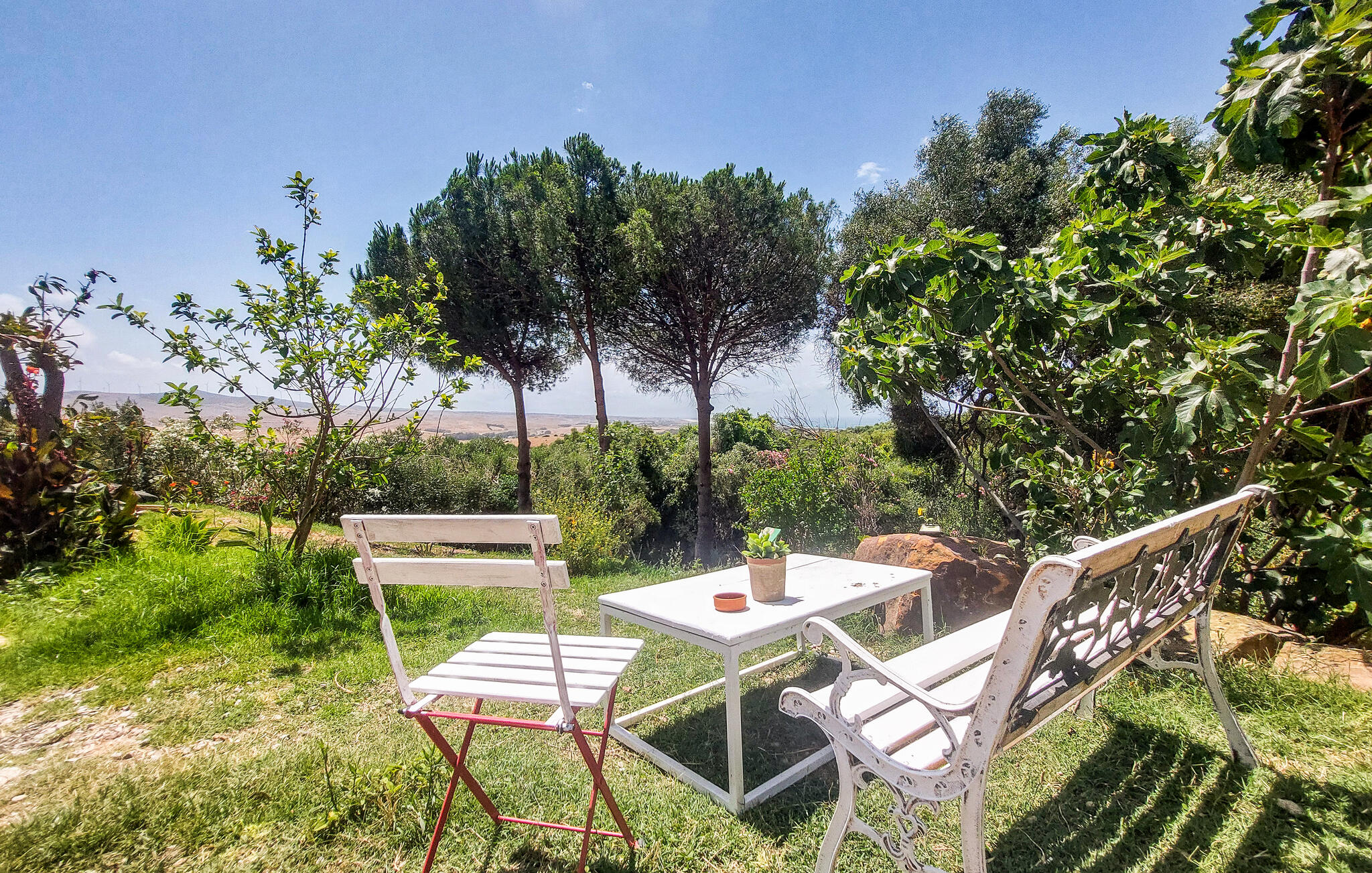 Ferienhaus mit umzäuntem Garten in Los Majales casa 2 (Spanien) und 3 Hunde erlaubt