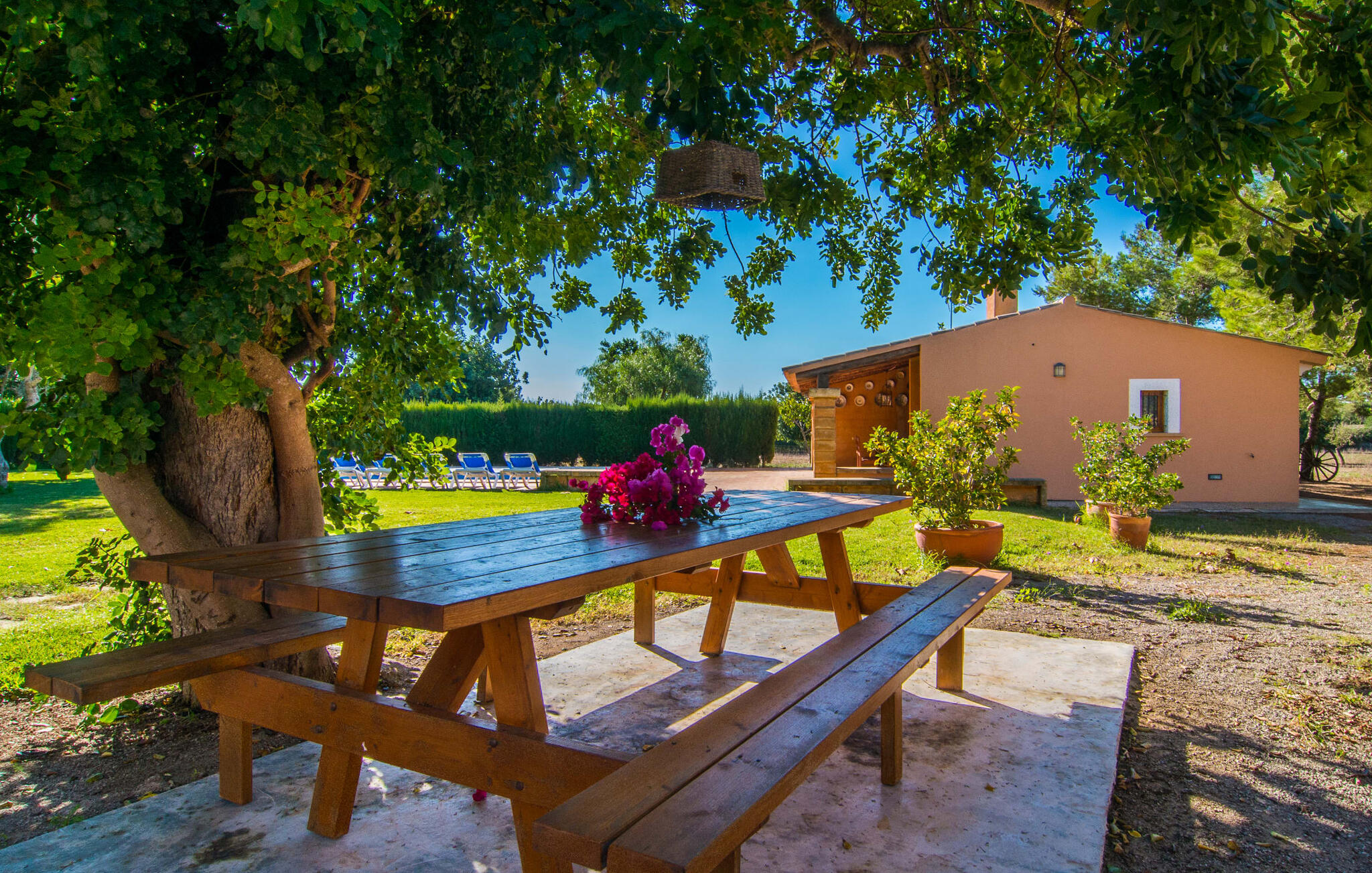 Vakantiehuis in Can Moleta-  Cala Mendia (Spanje) 1 hond is welkom