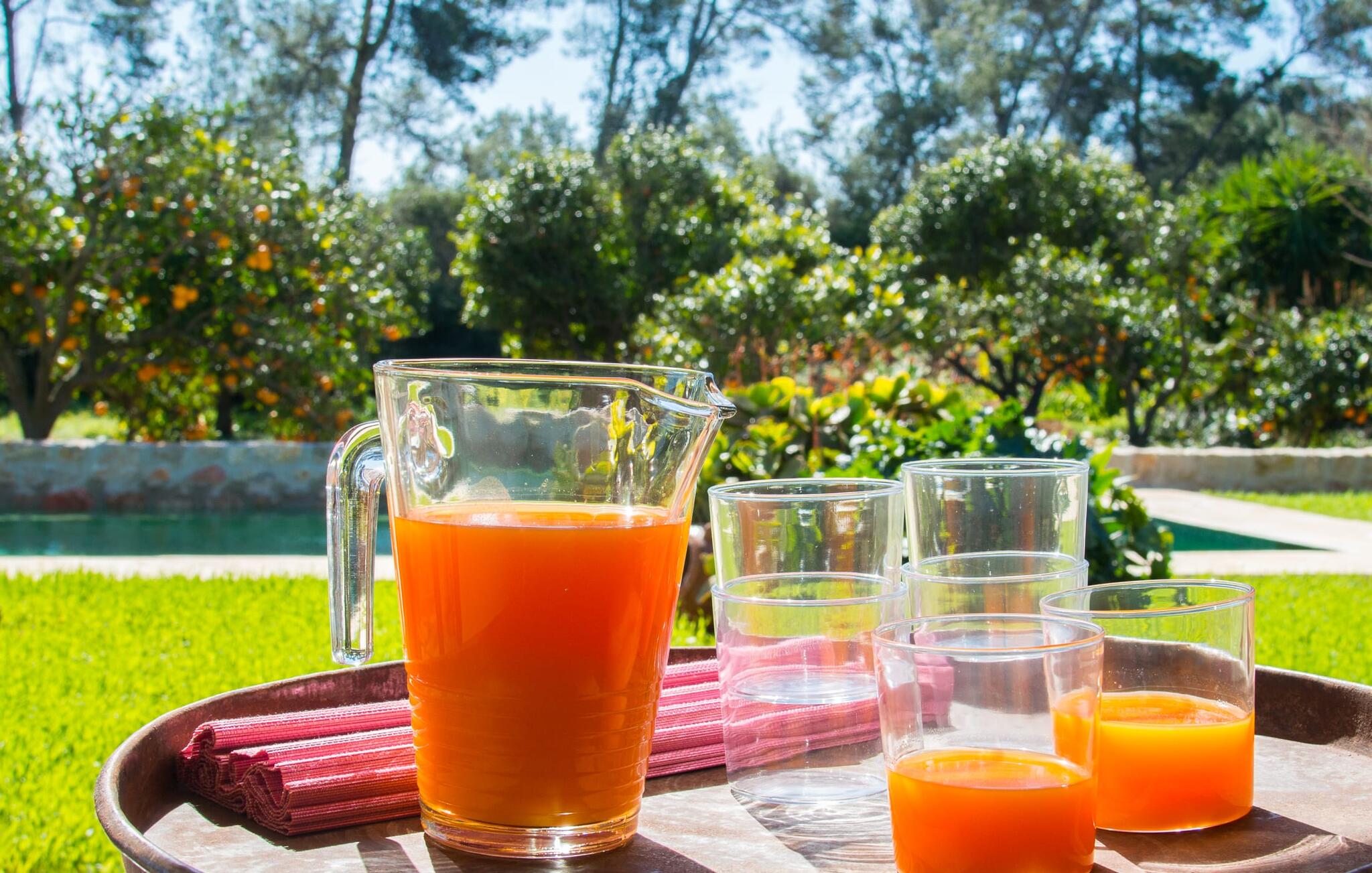 Vakantiehuis met privé zwembad in Ca Ses Nines-  Port Verd (Spanje) voor 4 personen