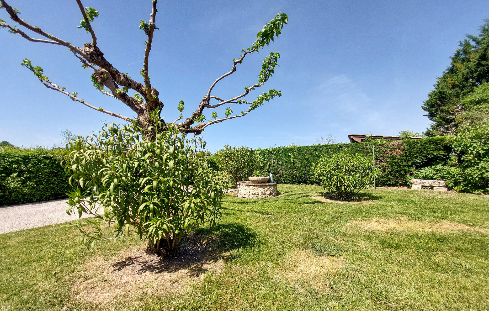 Ferienhaus mit umzäuntem Garten in Ginestet (Frankreich) und 3 Hunde erlaubt