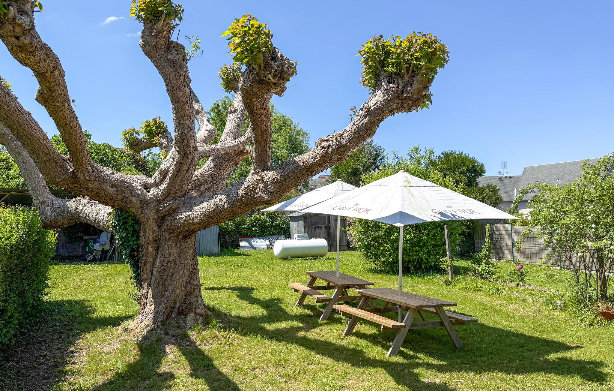 Accommodation image