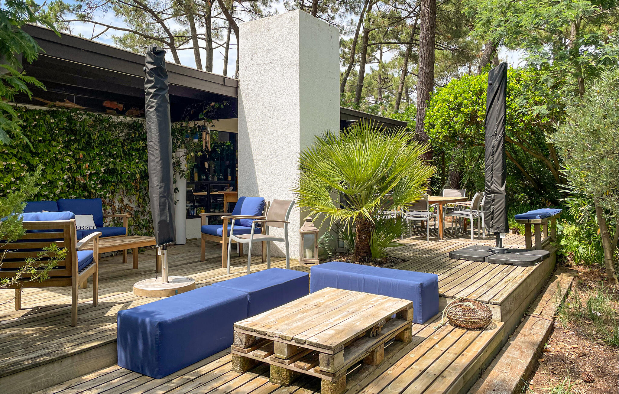 Vakantiehuis in Cap Ferret (Frankrijk) 1 hond is welkom