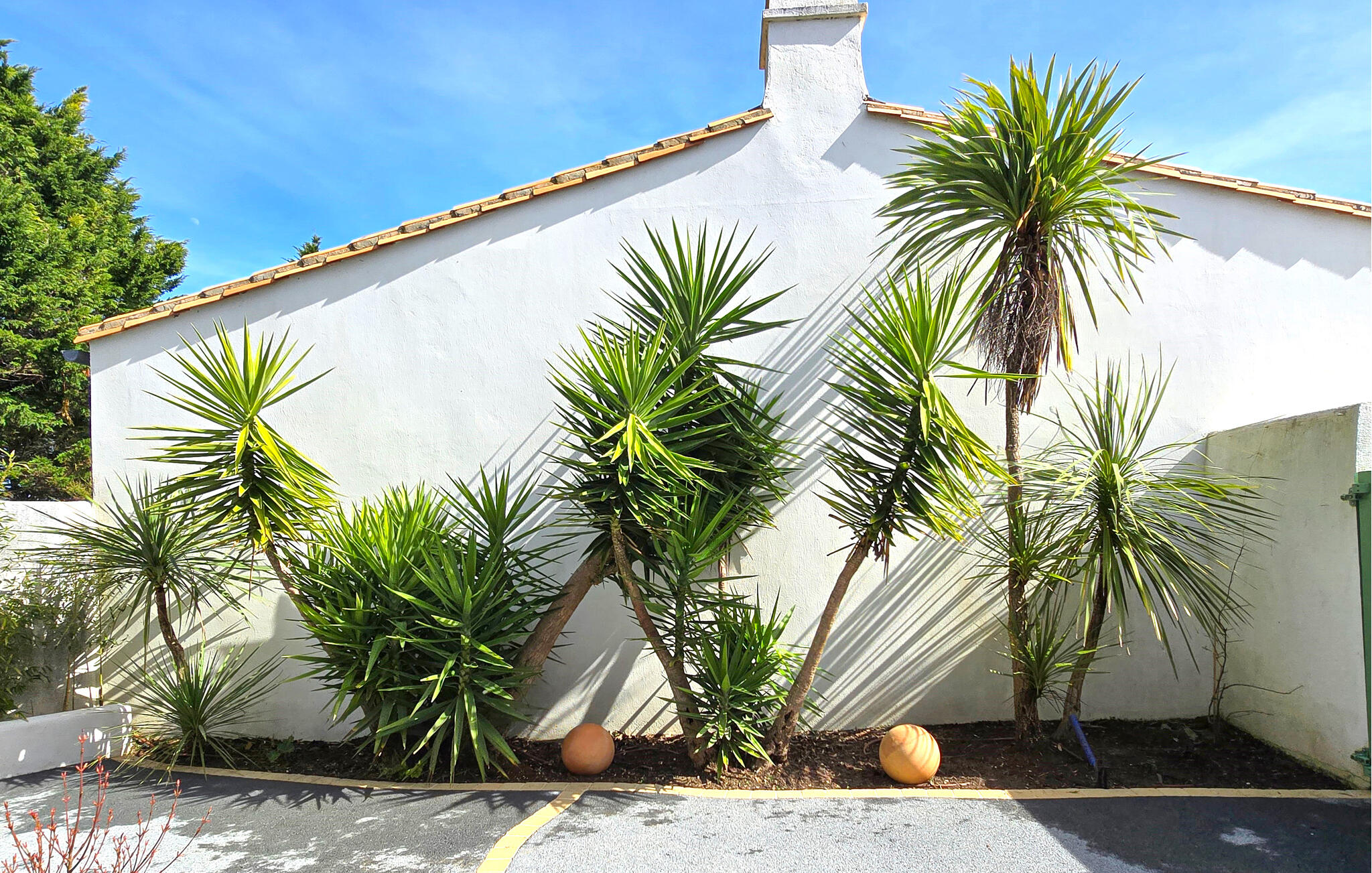 Vakantiehuis met omheinde tuin in Ile de Ré (Frankrijk) 3 honden zijn welkom