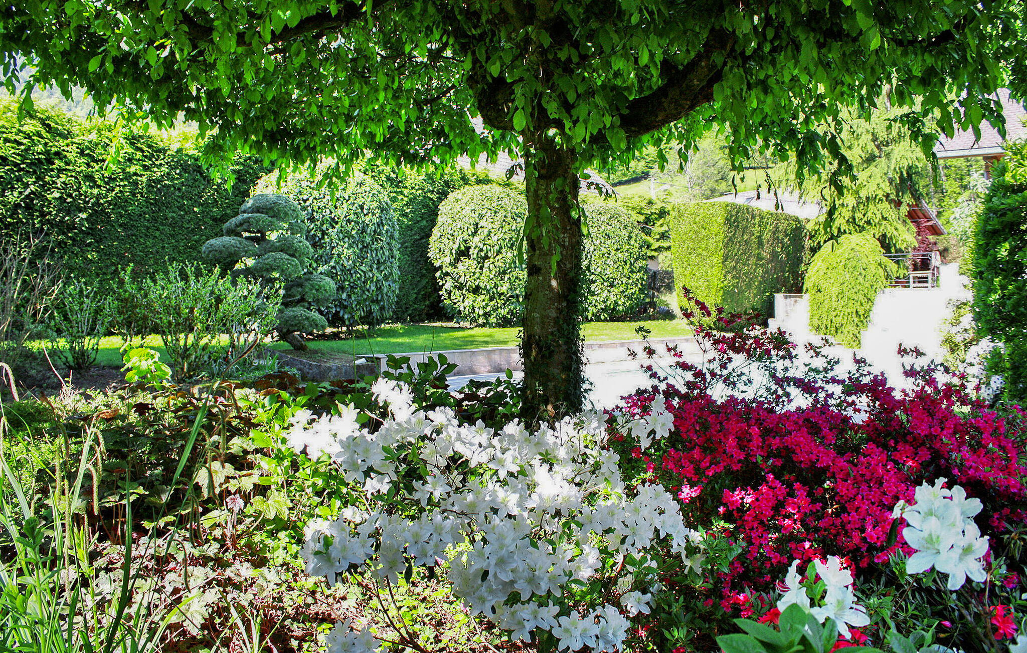 Vakantiehuis met privé zwembad in Doussard (Frankrijk) voor 6 personen