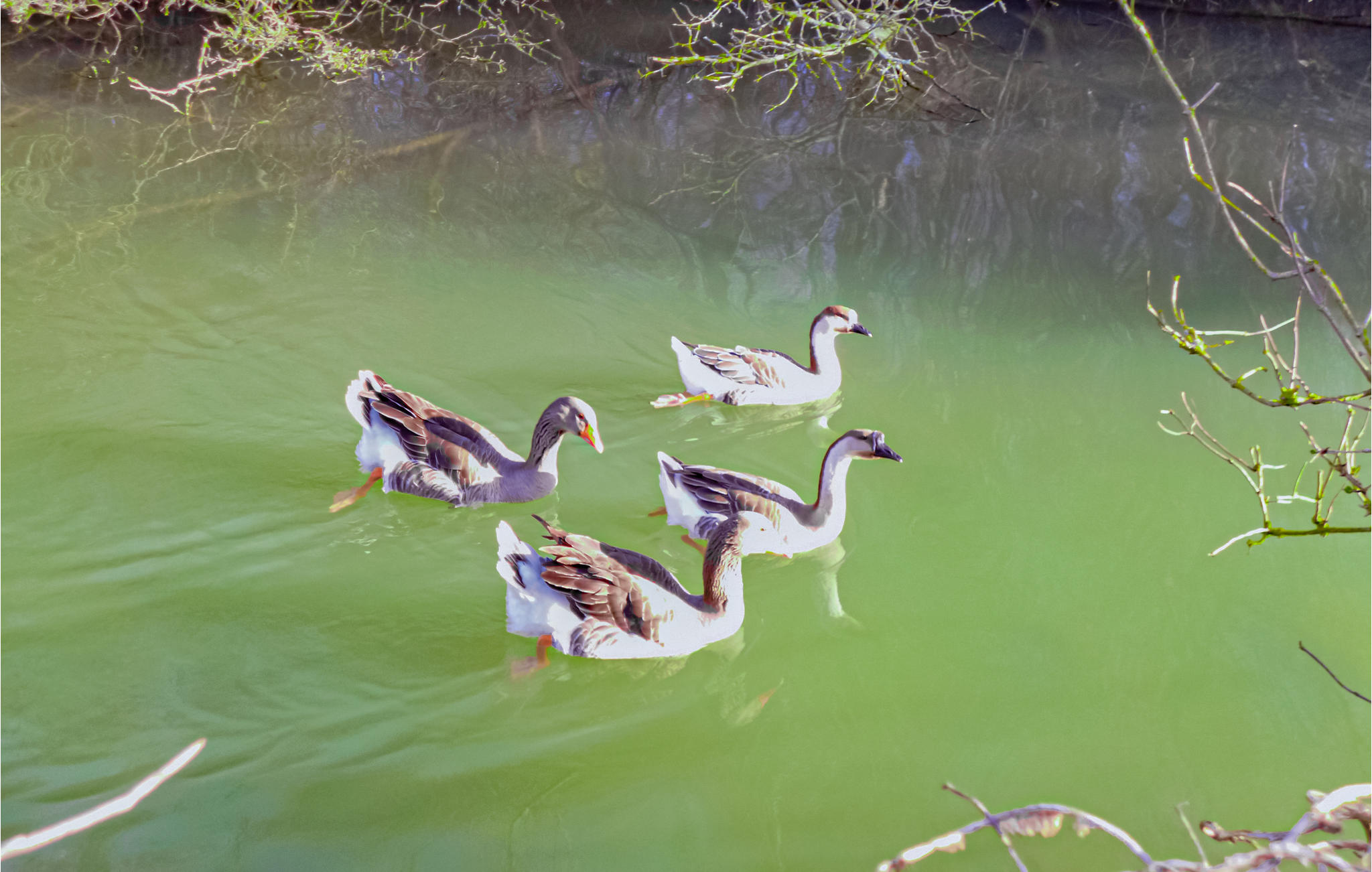 Vakantiehuis met zwembad in Vaudoy-en-Brie (Frankrijk) voor 5 personen
