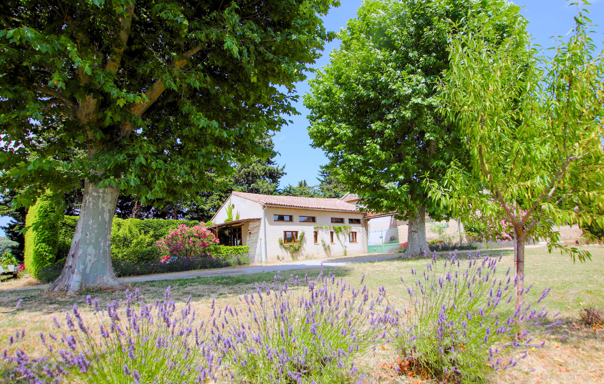 Vakantiehuis met privé zwembad in Tulette (Frankrijk) voor 6 personen