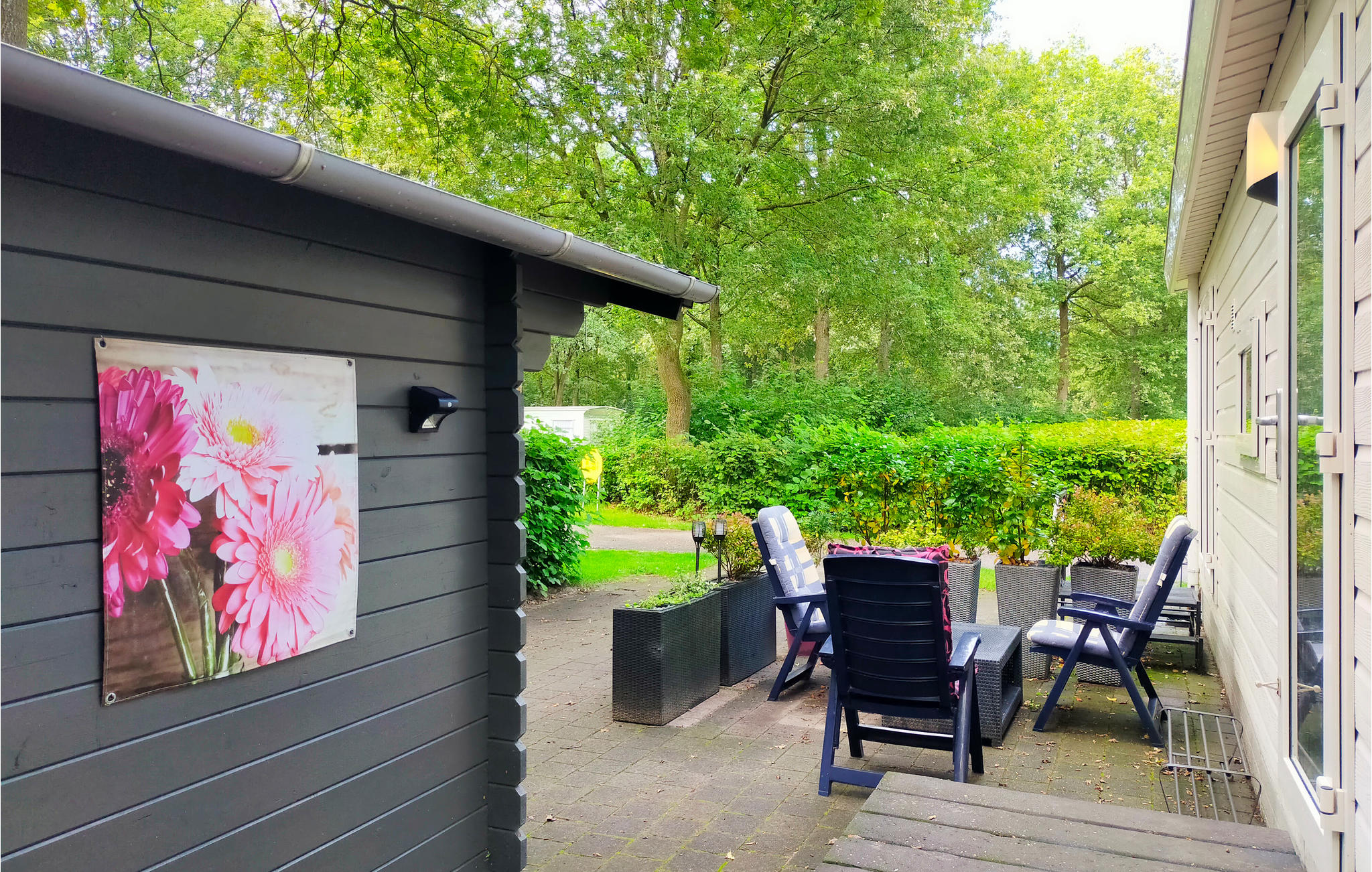 Vakantiehuis met zwembad in Schoonloo (Nederland) voor 2 personen
