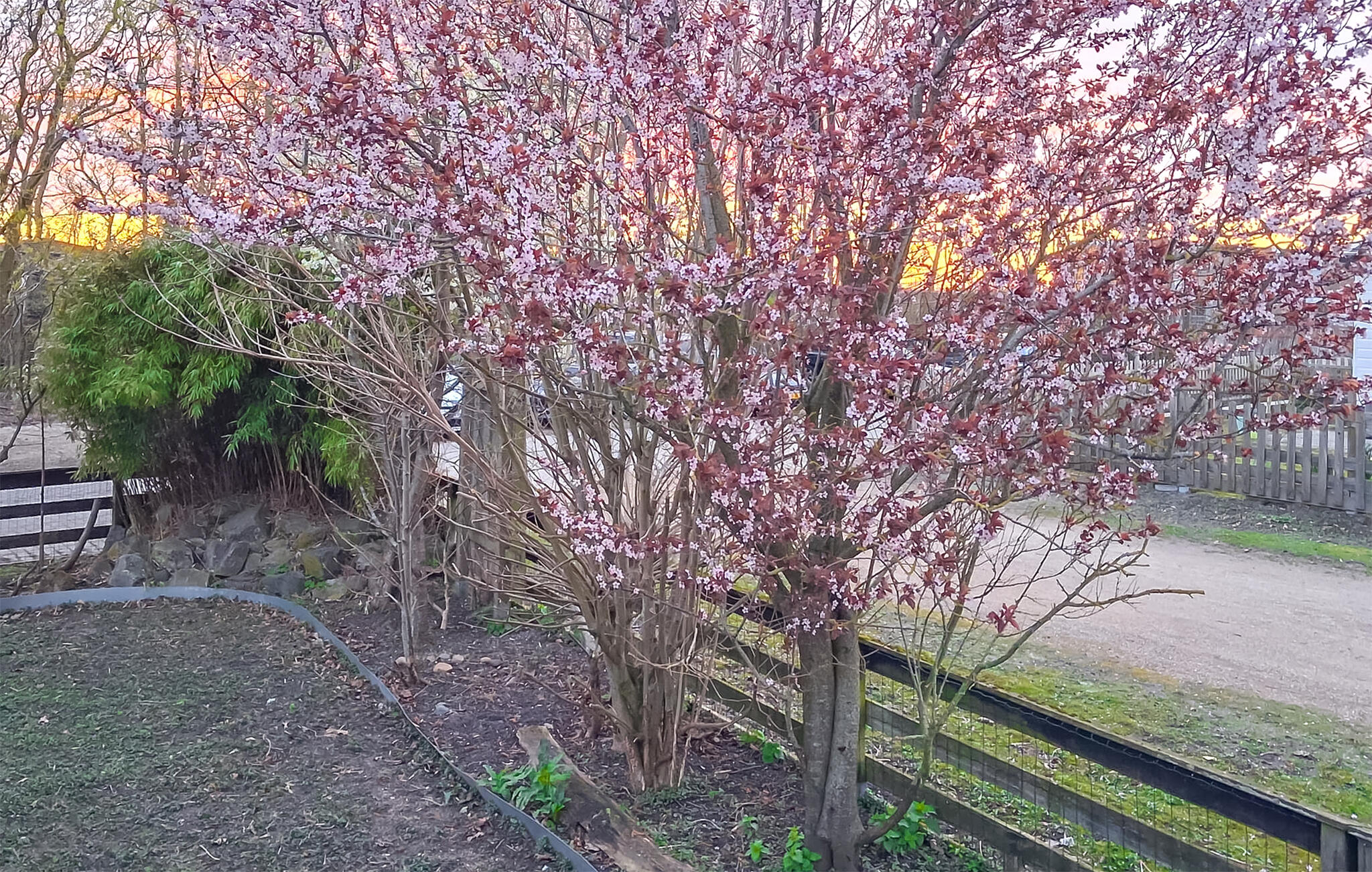 Vakantiehuis met omheinde tuin in Makkum (Nederland) 2 honden zijn welkom
