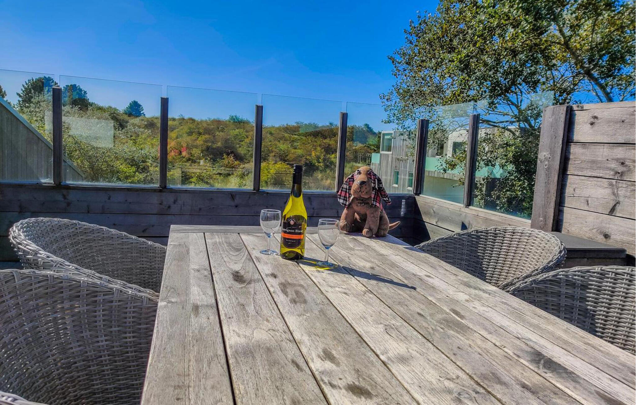 Vakantiehuis met zwembad in Schiermonnikoog (Nederland) voor 6 personen