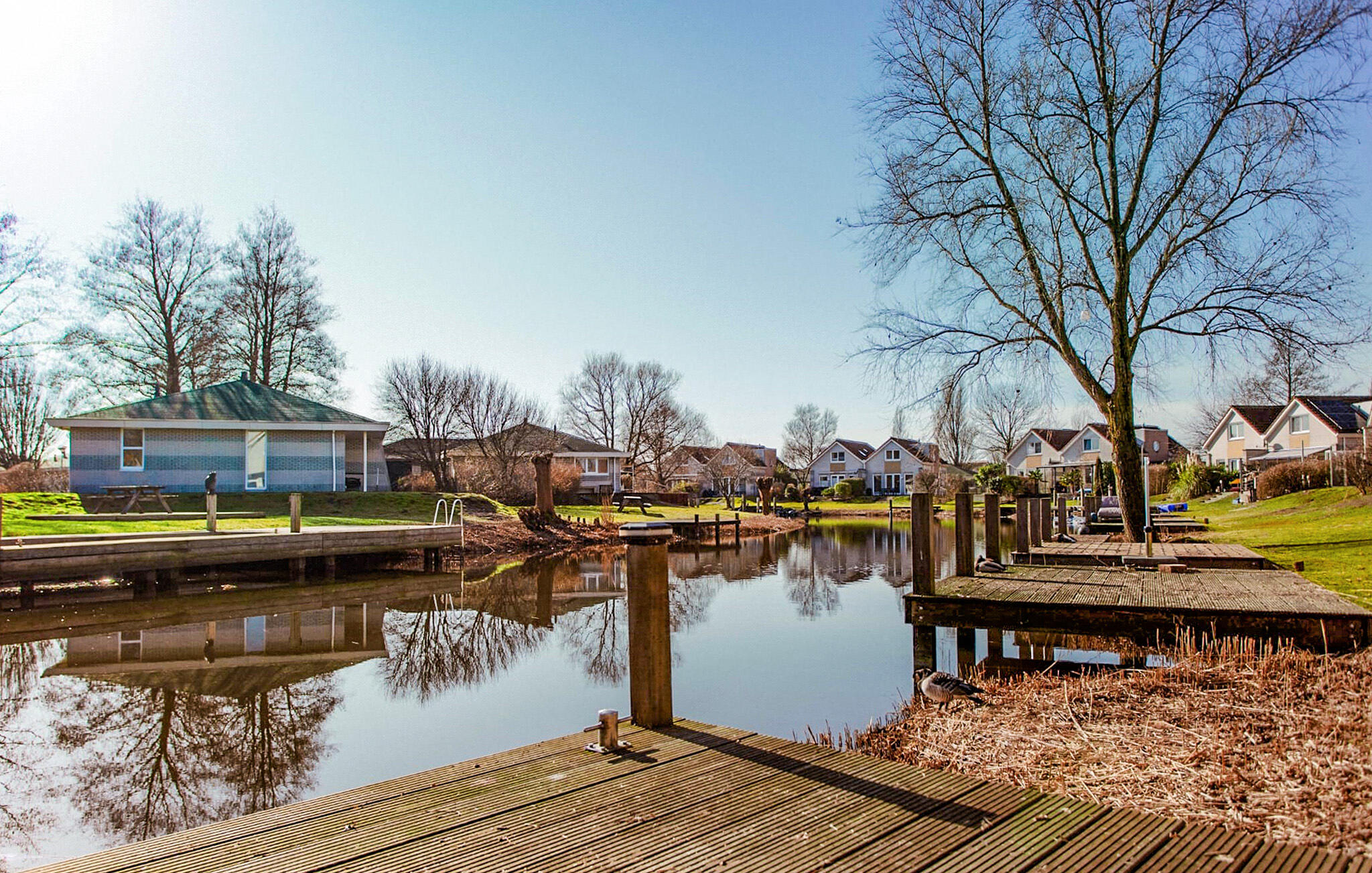 Ferienhaus in Makkum (Niederlande) und 1 Hund erlaubt