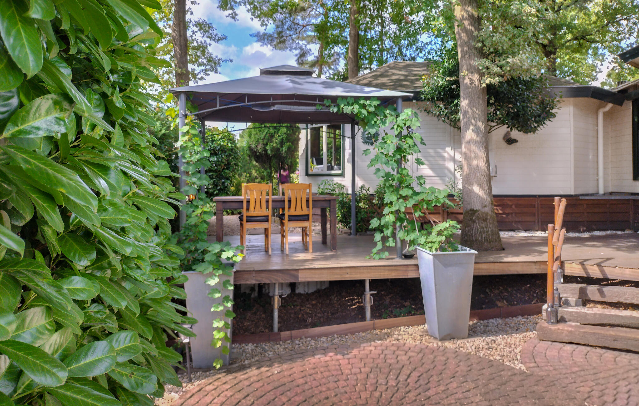 Vakantiehuis met zwembad in Rucphen (Nederland) voor 6 personen