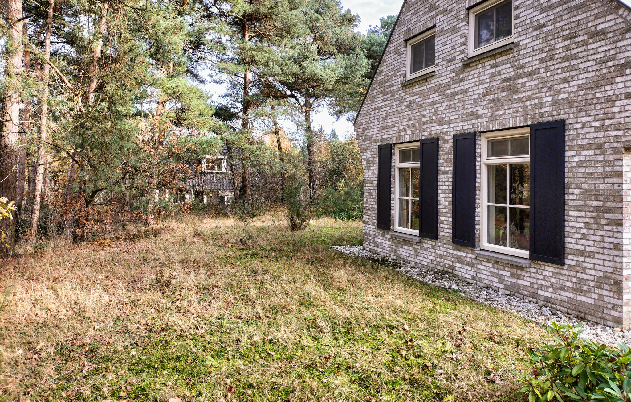 Ferienhaus in Lemele (Niederlande) und 2 Hunde erlaubt