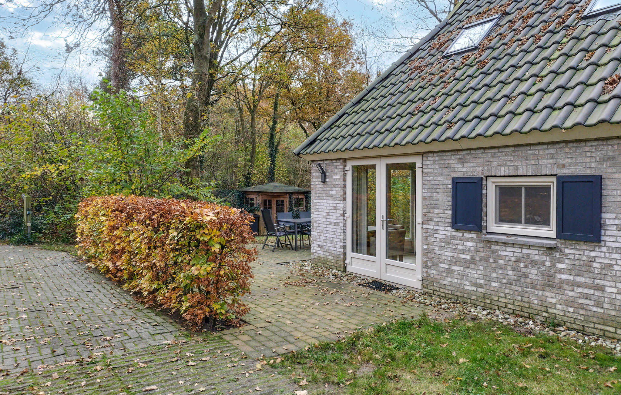 Ferienhaus in Lemele (Niederlande) und 2 Hunde erlaubt