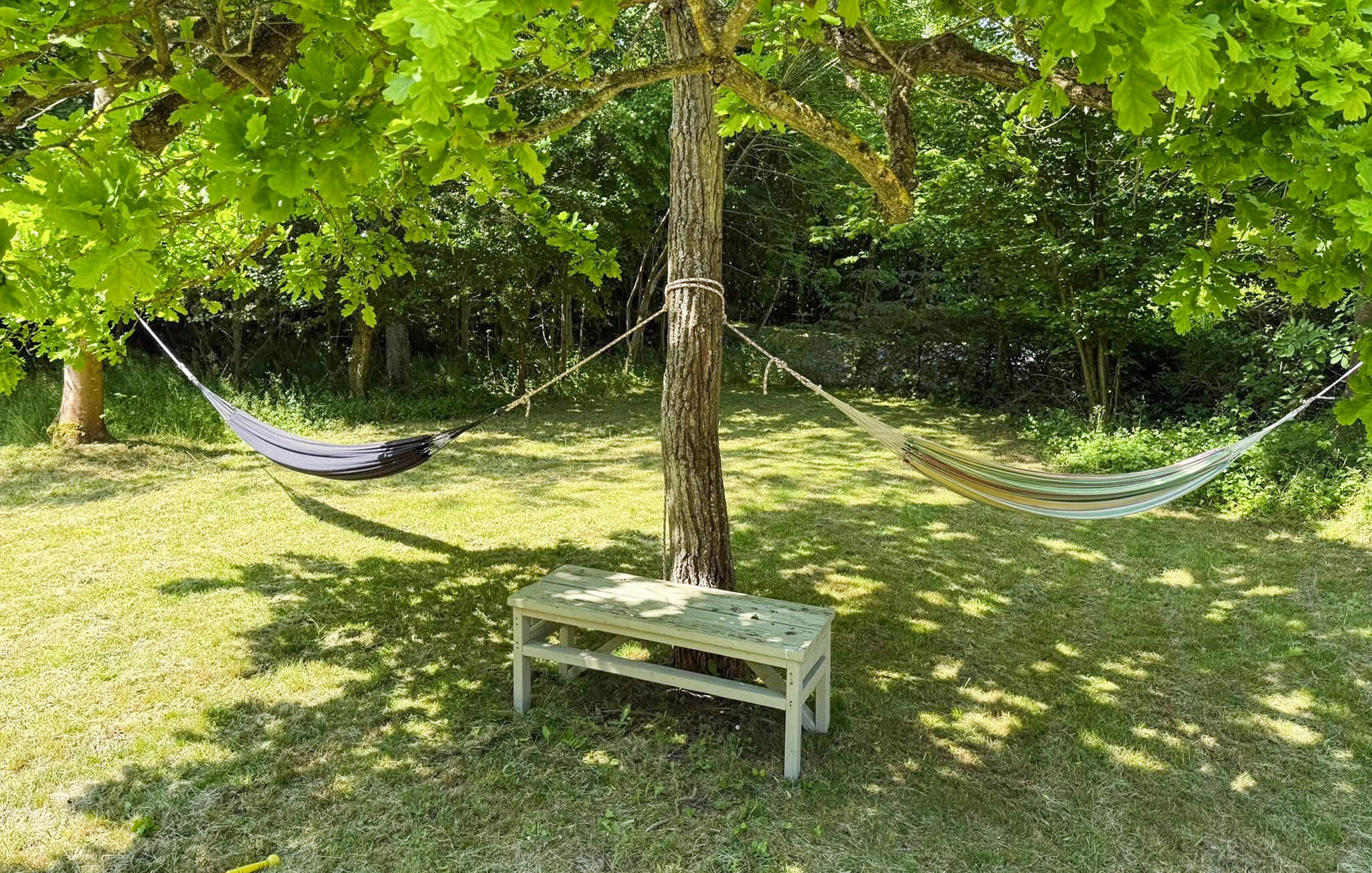 Accommodation image