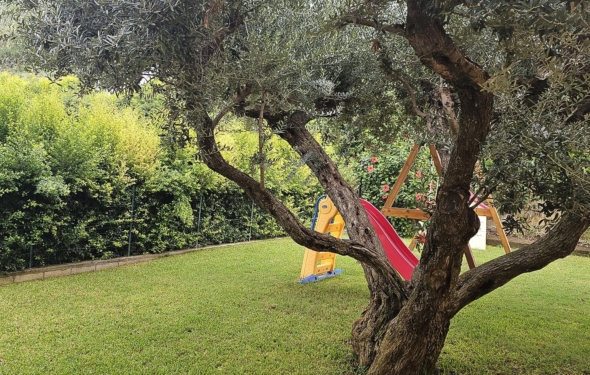 Accommodation image