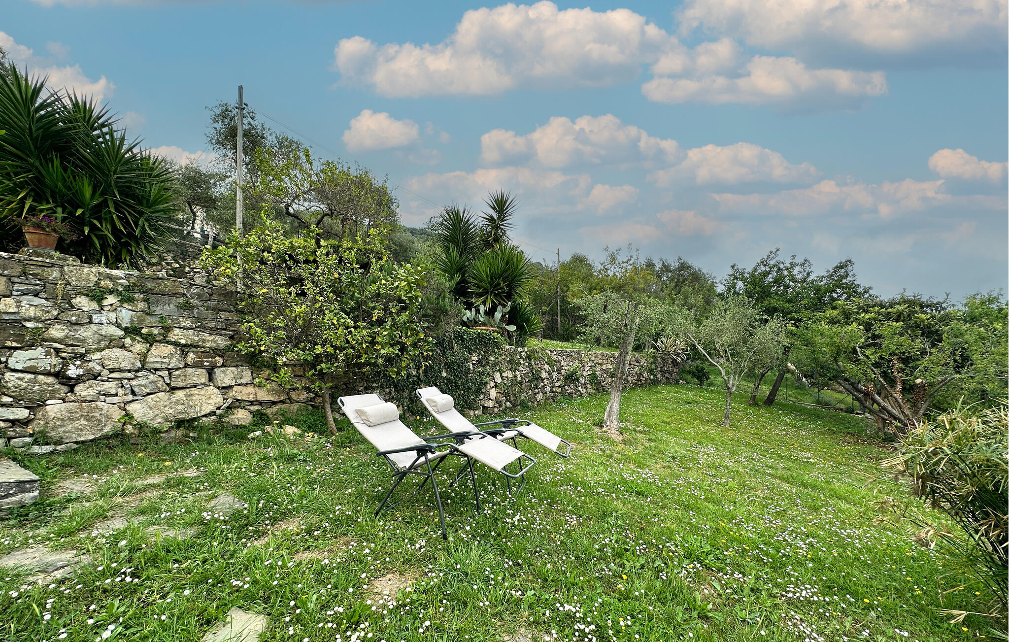 Vakantiehuis met omheinde tuin in Santa Margherita Ligure (Italië) 1 hond is welkom