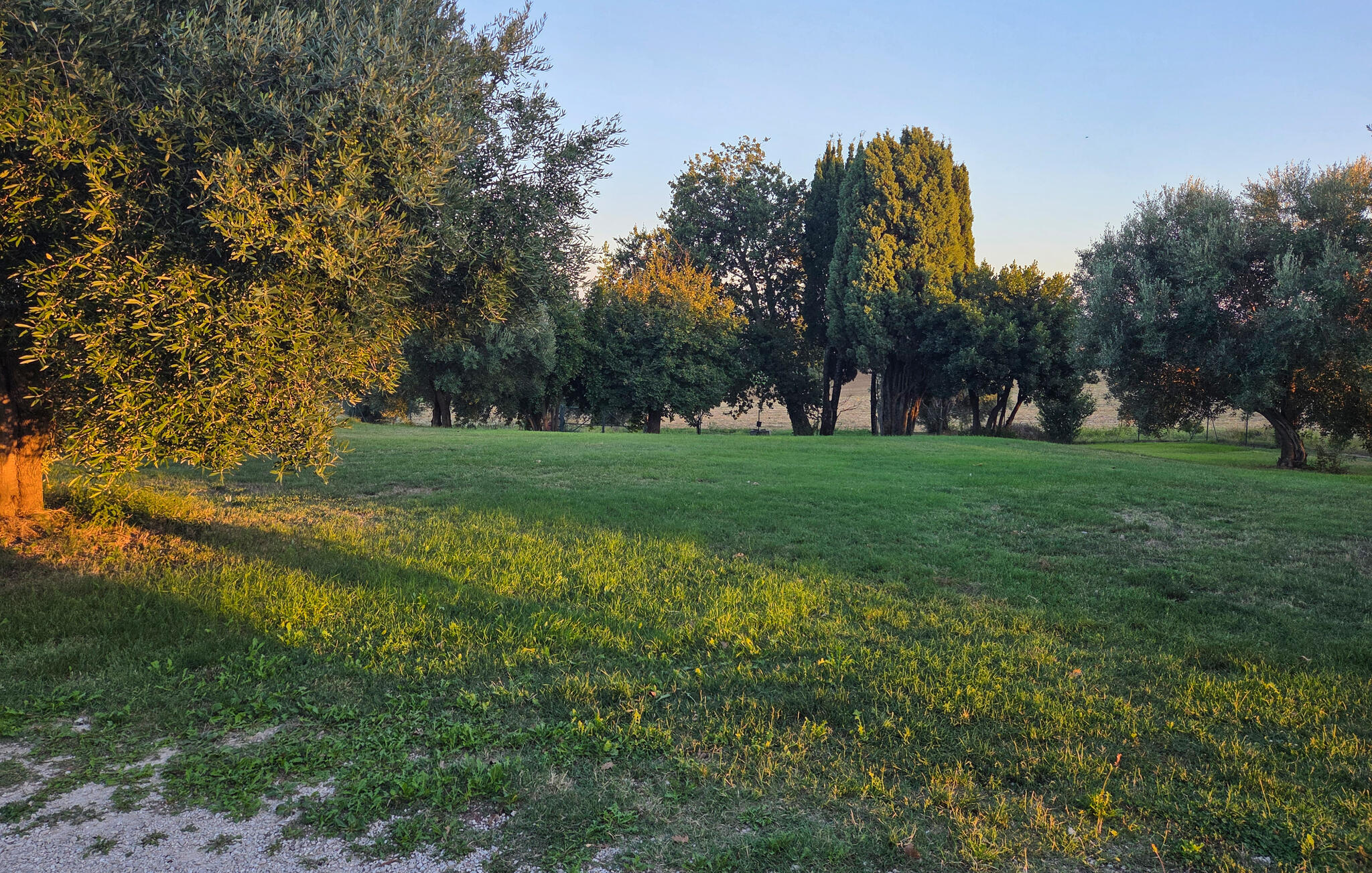 Accommodation image
