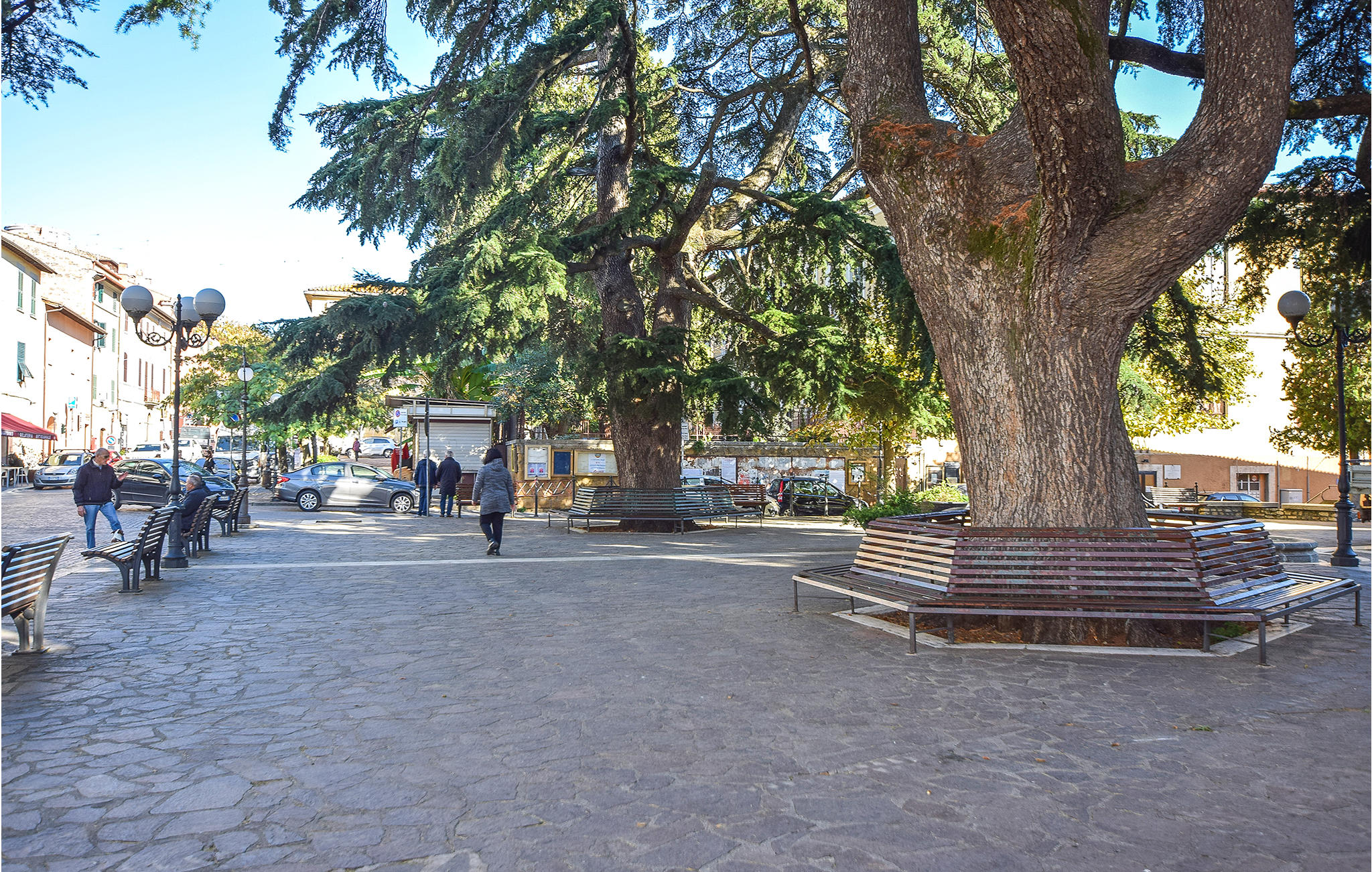 26