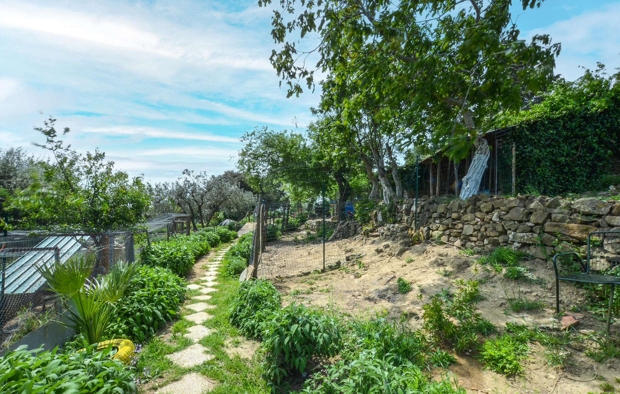 Ferienhaus mit umzäuntem Garten in Cinigiano (Italien) und 2 Hunde erlaubt