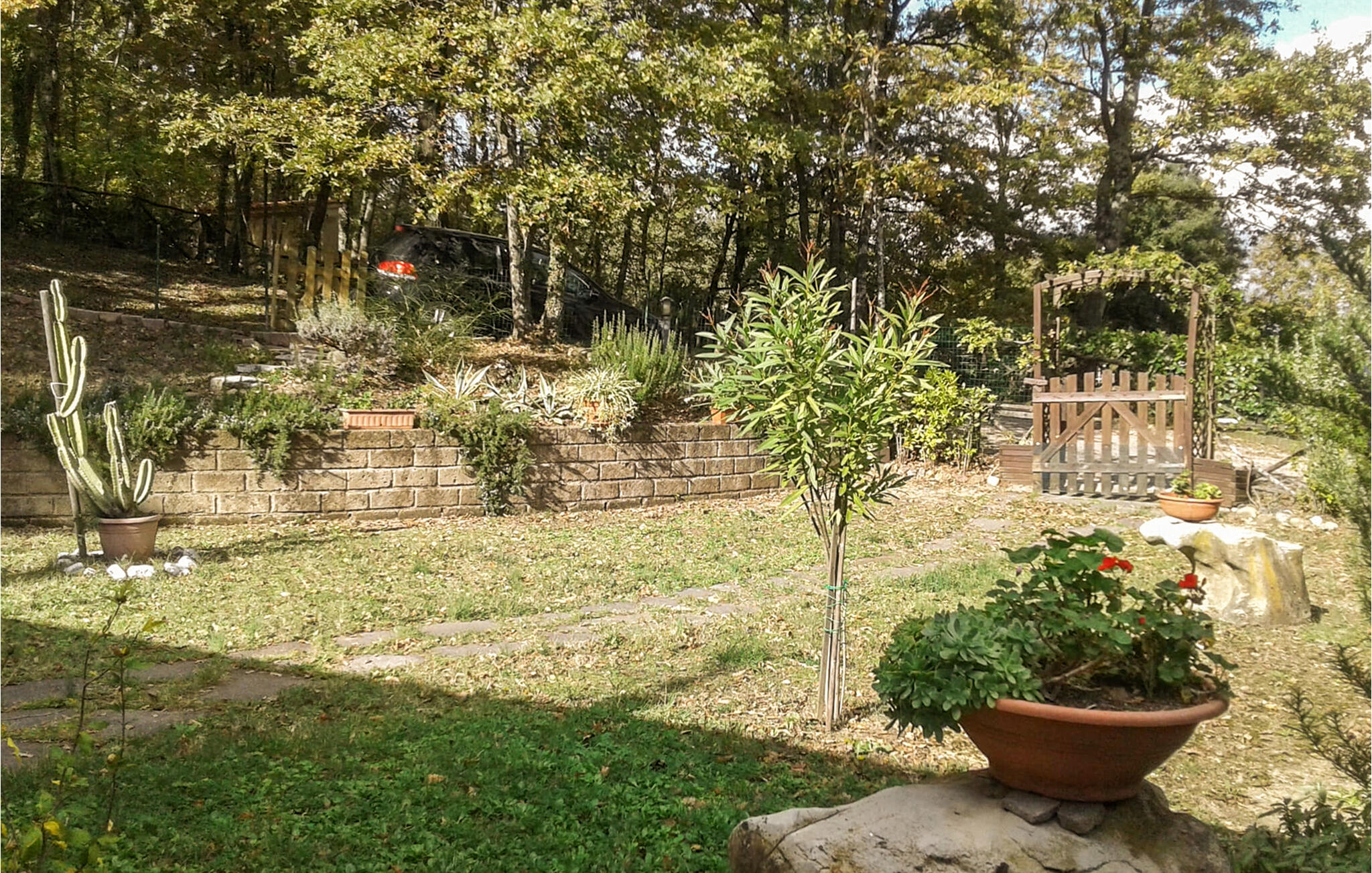 Vakantiehuis met omheinde tuin in Monteverdi Marittimo (Italië) 1 hond is welkom