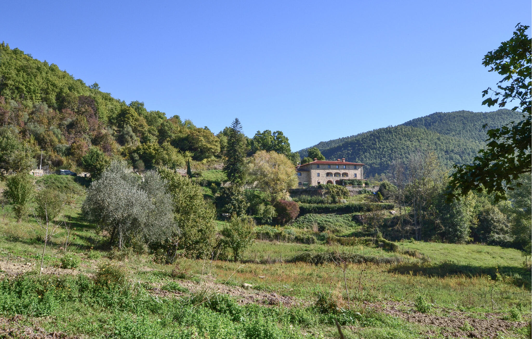 Ferienhaus in Bibbiena (Italien) und 1 Hund erlaubt