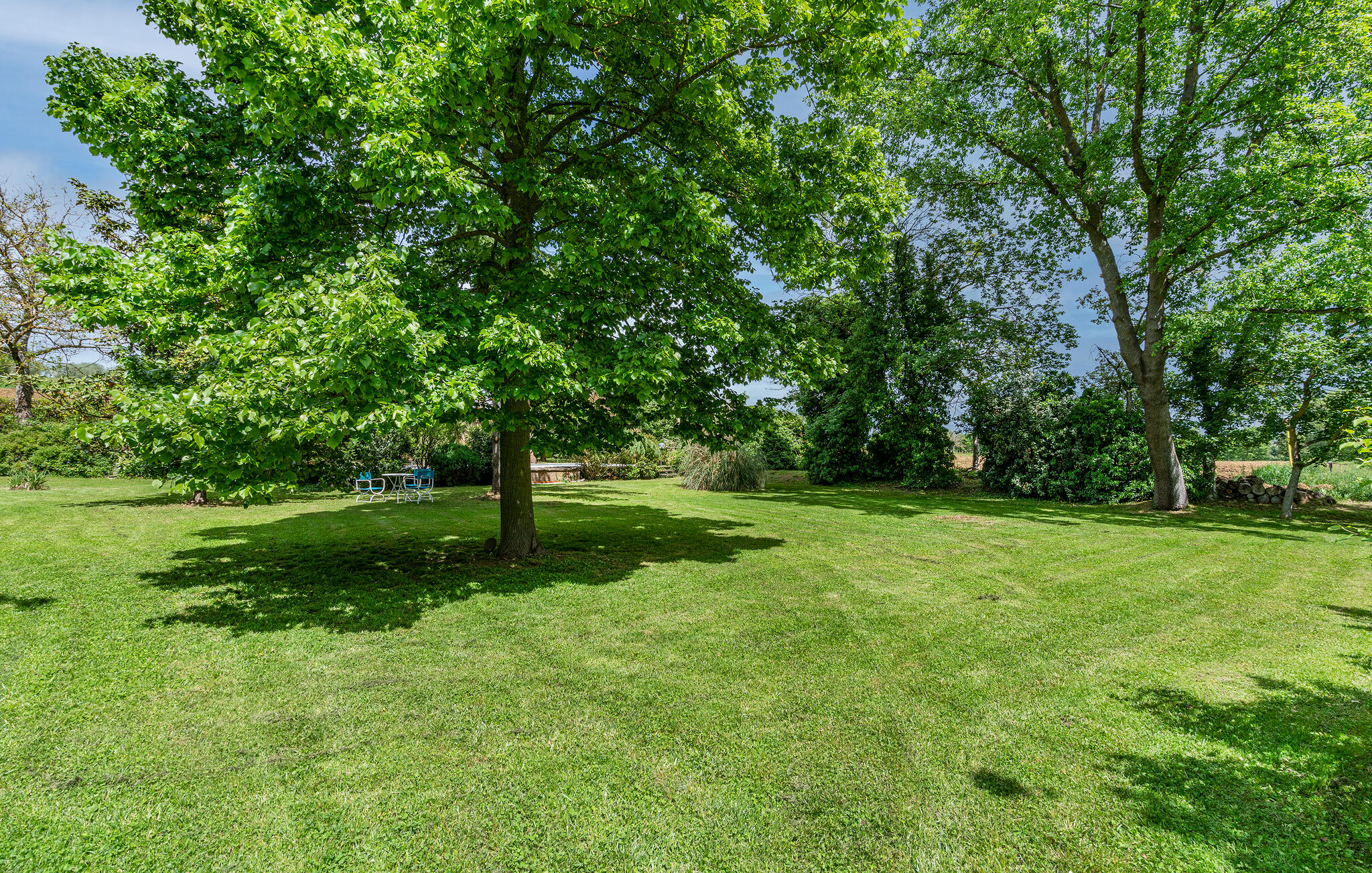 Vakantiehuis met omheinde tuin in Cortona (Italië) 2 honden zijn welkom