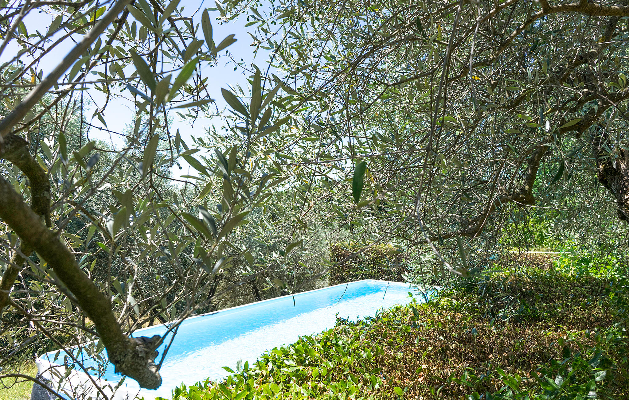Ferienhaus mit umzäuntem Garten in Pergine Valdarno (Italien) und 2 Hunde erlaubt