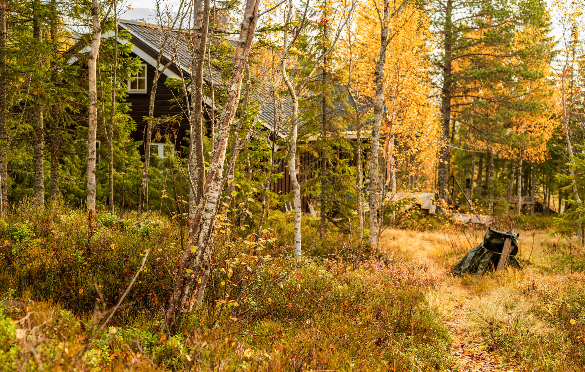 Accommodation image