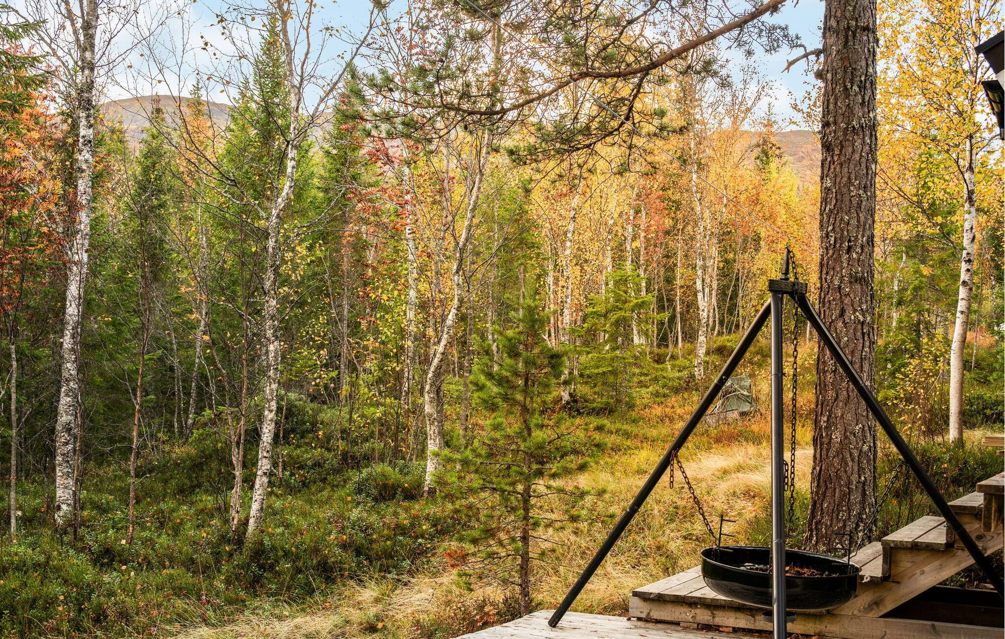 Accommodation image