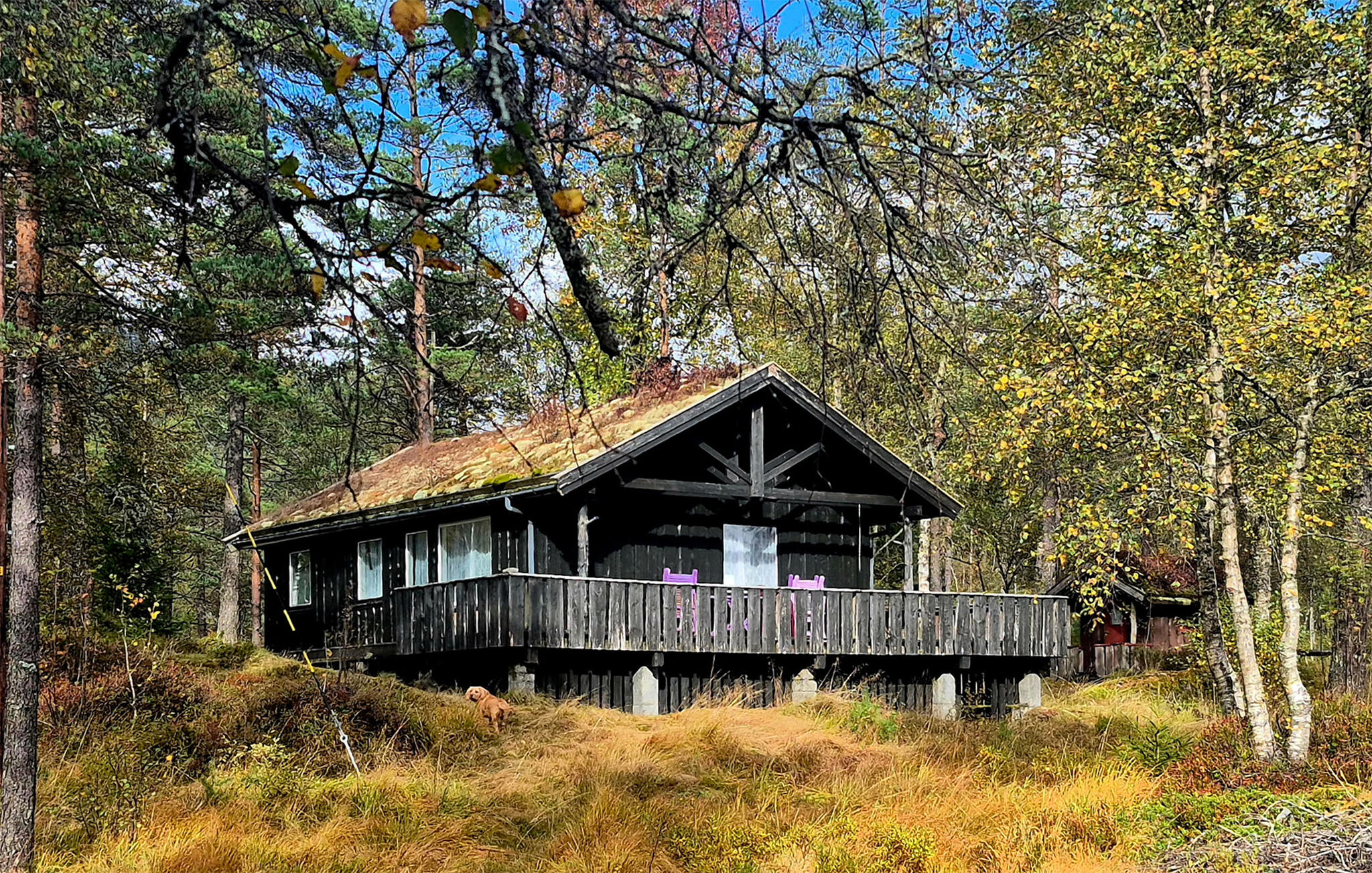 Accommodation image