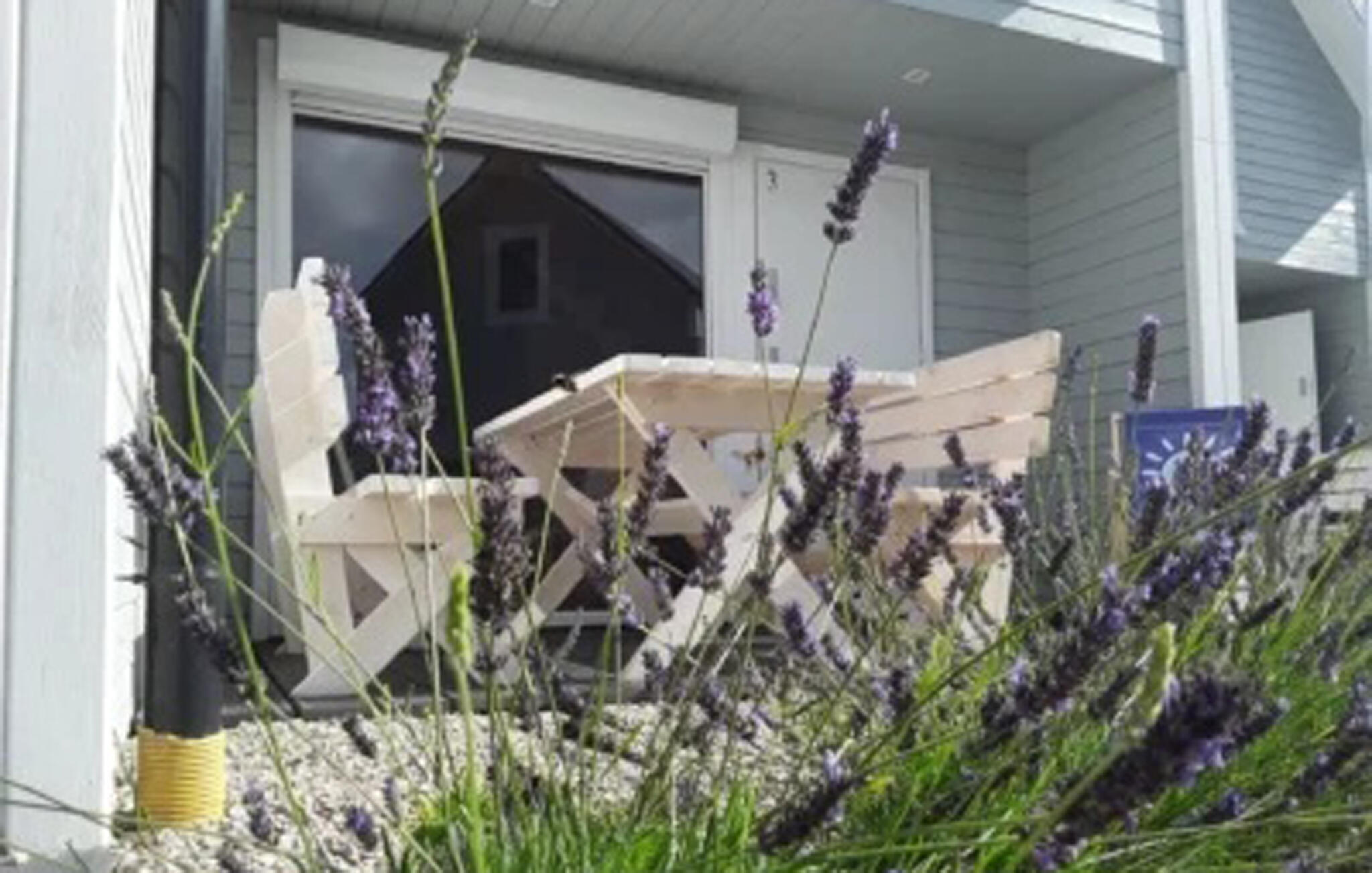 Ferienhaus in Gaski (Polen) und 1 Hund erlaubt