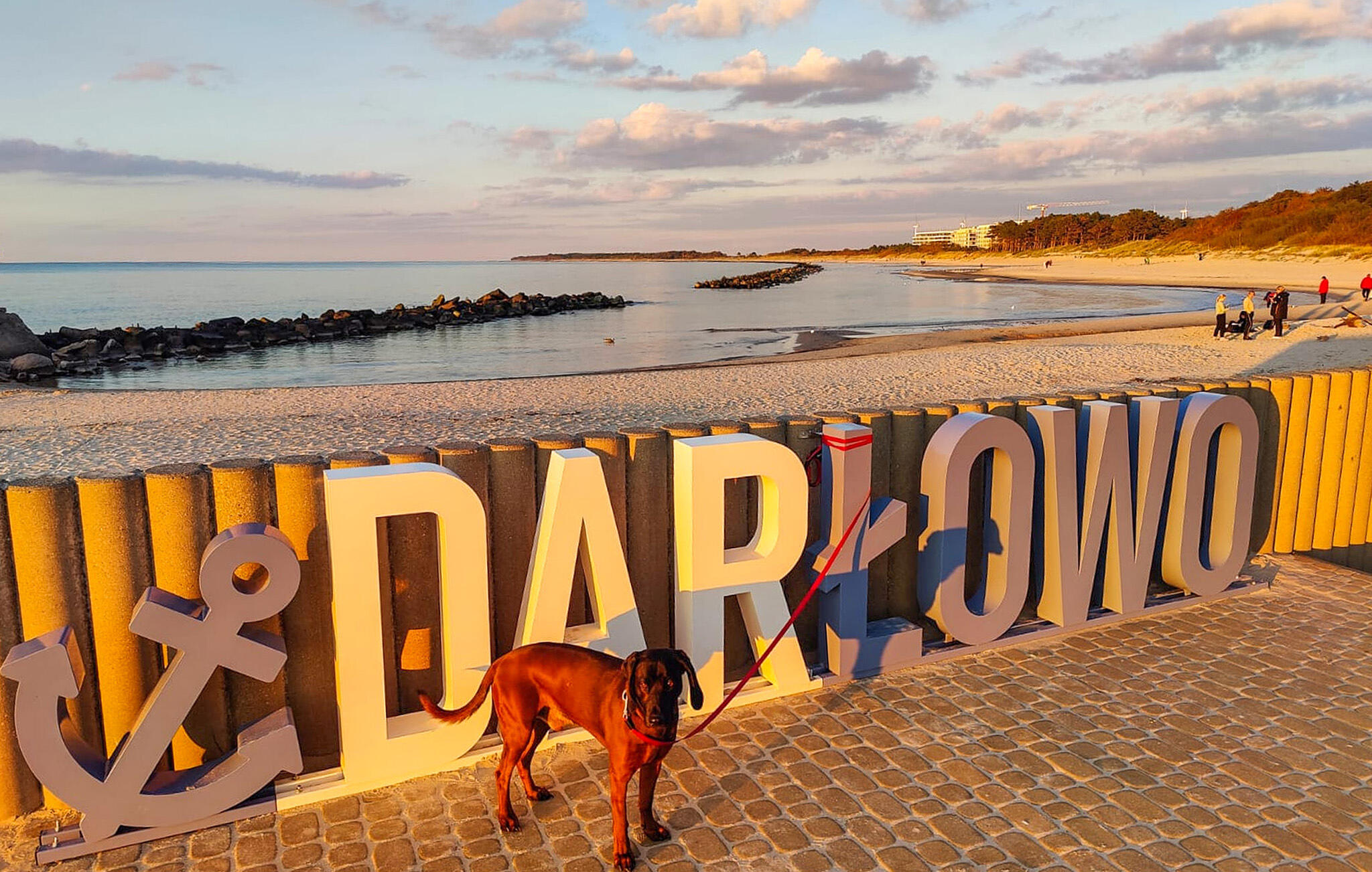 26
