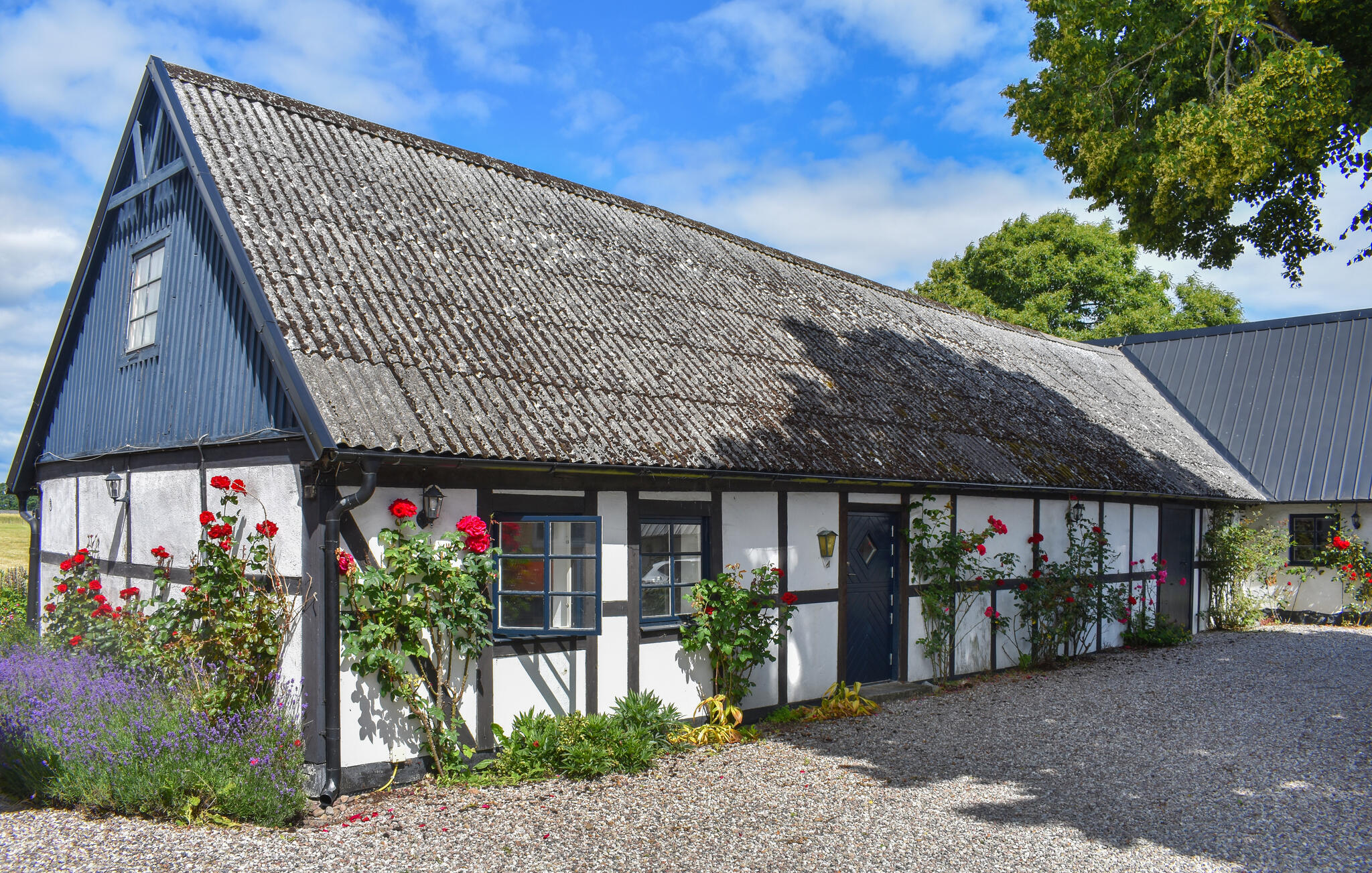 Ferienhaus in Ystad/Tomelilla (Schweden) und 1 Hund erlaubt