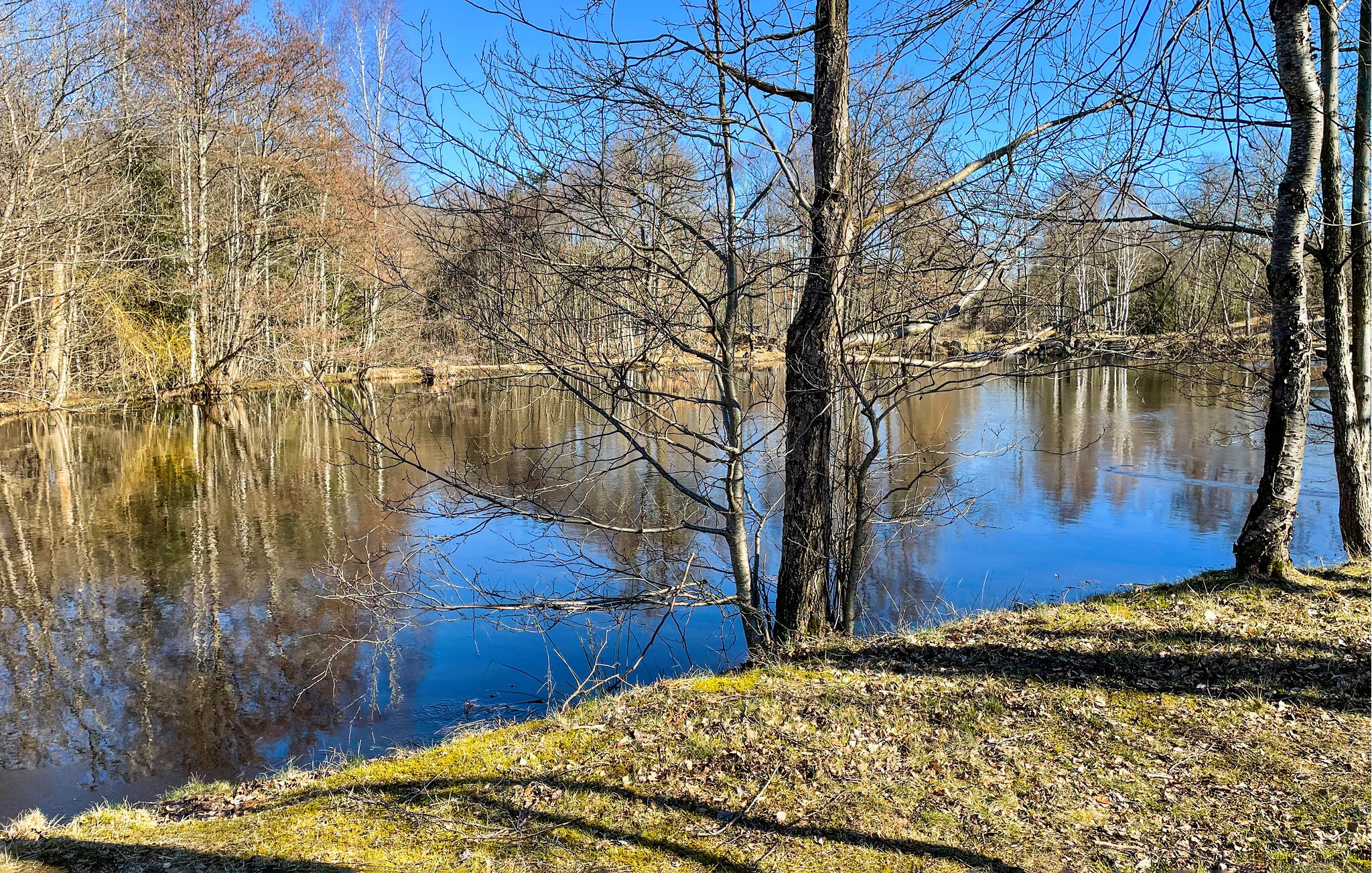 Vakantiehuis met zwembad in Ludwigsborg/Höör (Zweden) voor 14 personen