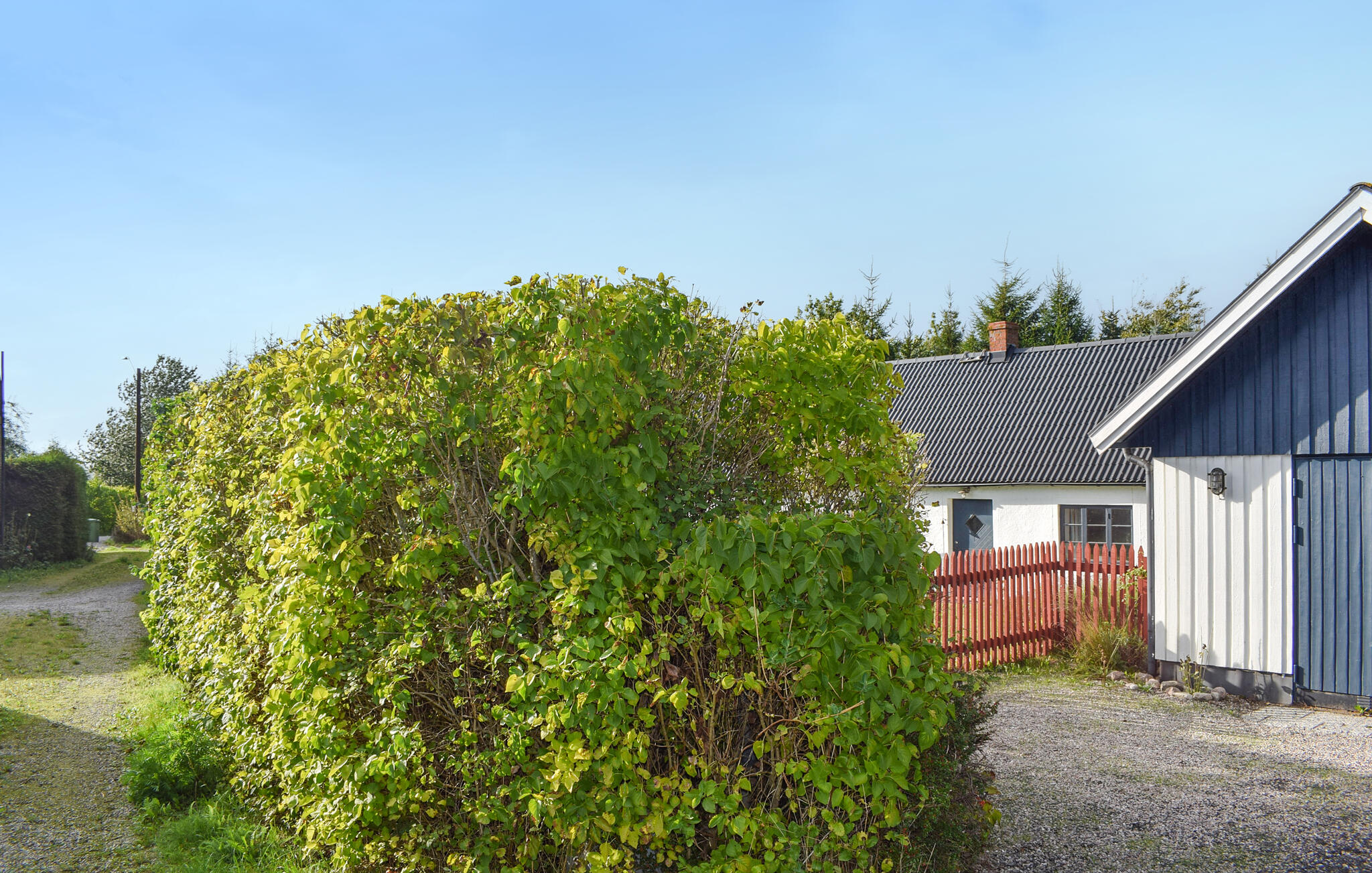 Ferienhaus mit umzäuntem Garten in Österlen/Hammenhög/Simrishamn (Schweden) und 2 Hunde erlaubt